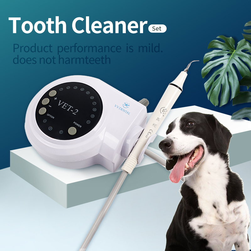 Teeth Whitening Session - Máquina de limpeza de plástico e