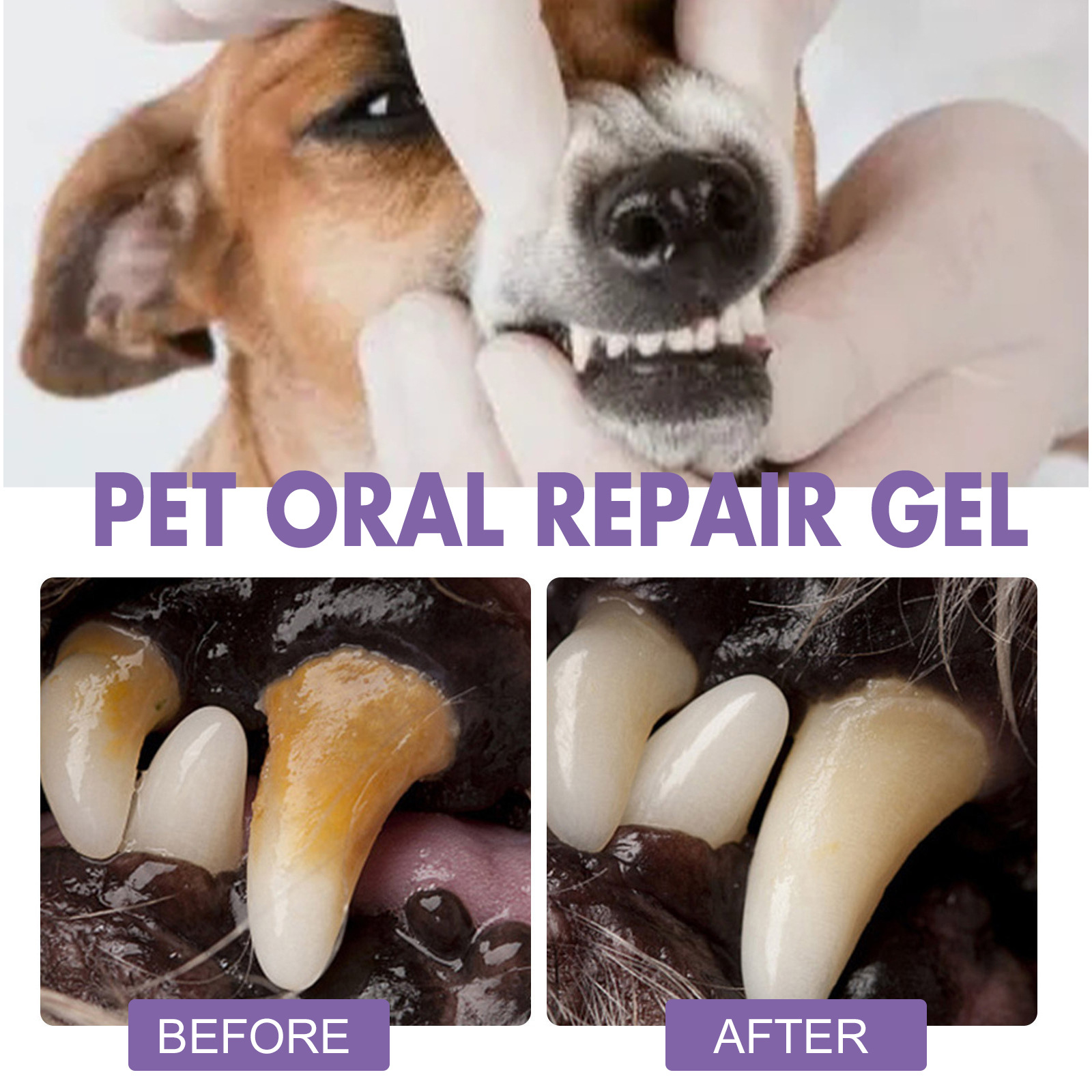 Gel de reparação oral para ani - Teeth Whitening Foam avaliação e preço