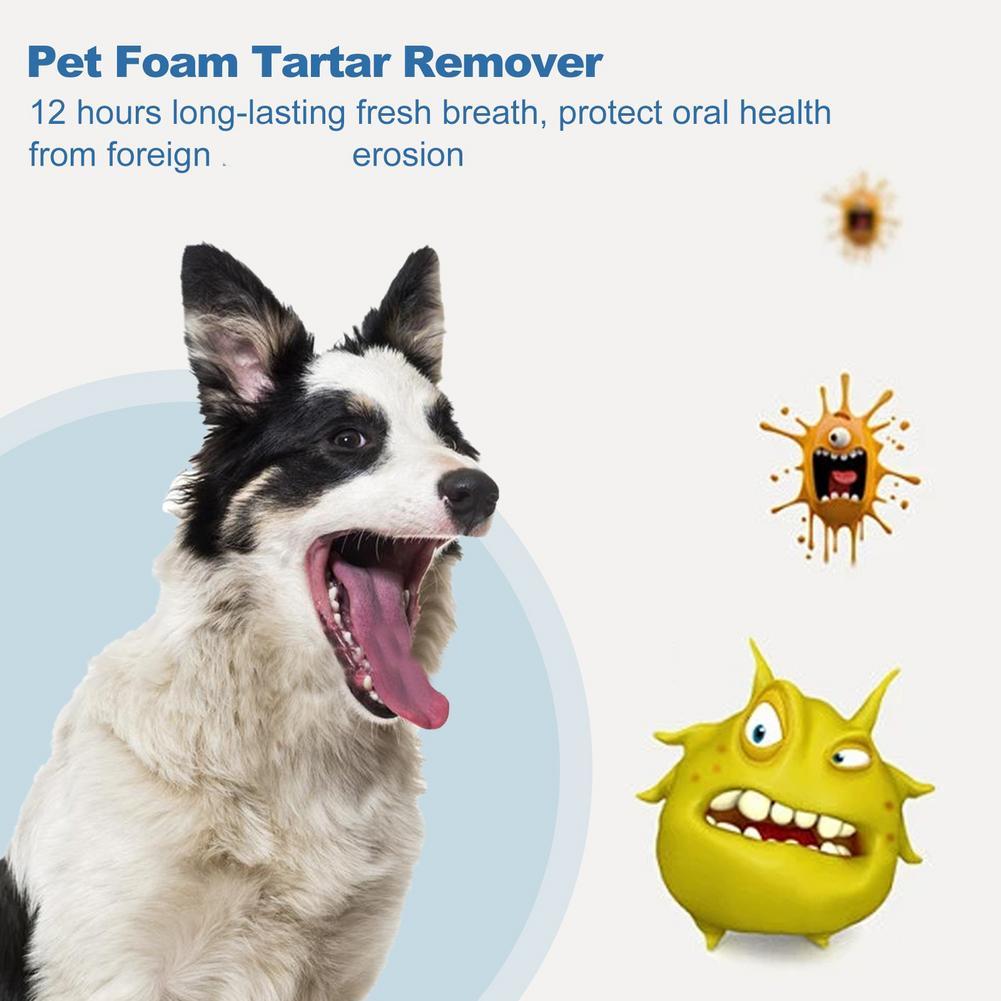 Limpeza Oral para Pets: Spray  - Teeth Whitening Foam avaliação e preço