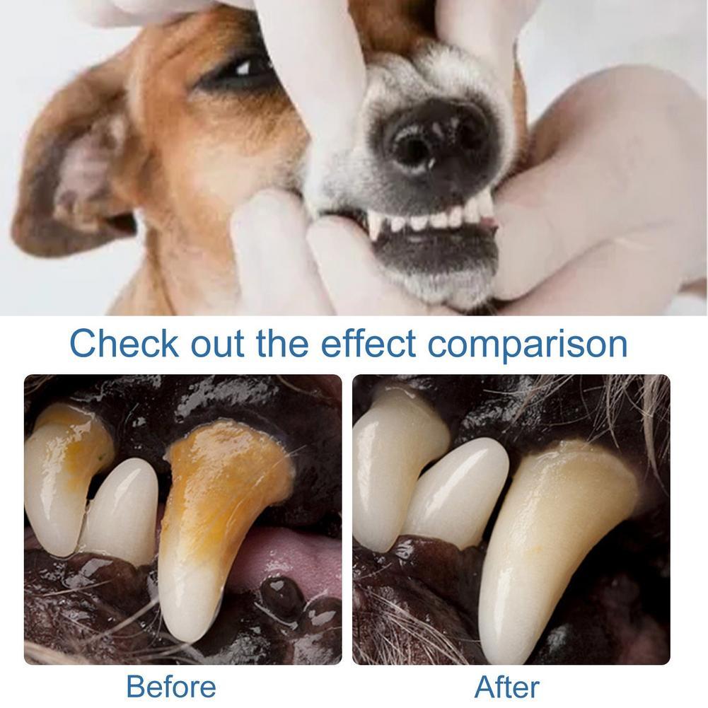 Limpeza Oral para Pets: Spray  - Teeth Whitening Foam avaliação e preço